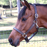 Remarkable Leather Goods GHC Triple Stitch Halter - Remarkable Leather Goods - Equiluxe Tack