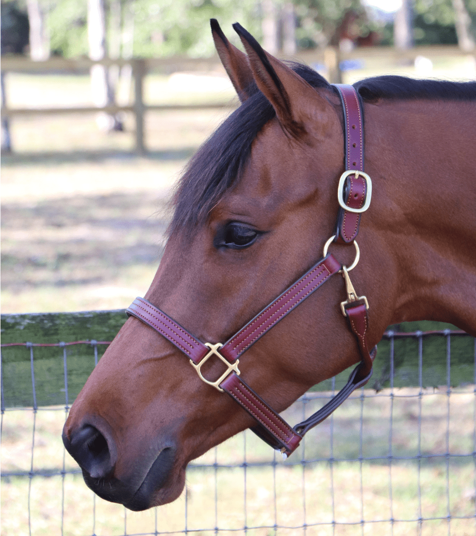 Remarkable Leather Goods GHC Triple Stitch Halter - Remarkable Leather Goods - Equiluxe Tack