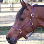 Remarkable Leather Goods GHC Triple Stitch Halter - Remarkable Leather Goods - Equiluxe Tack