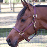 Remarkable Leather Goods GHC Triple Stitch Halter - Remarkable Leather Goods - Equiluxe Tack