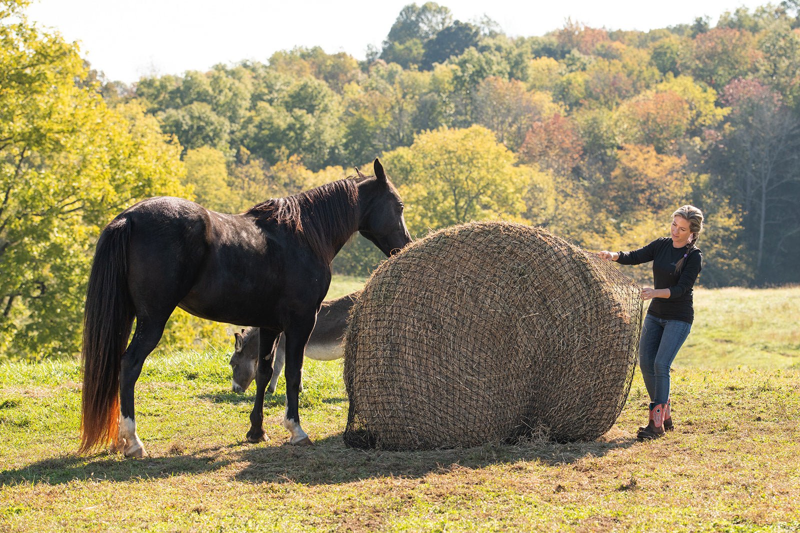 Texas Haynet Round Bale Hay Net - Texas Haynet - Equiluxe Tack