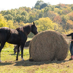 Texas Haynet Round Bale Hay Net - Texas Haynet - Equiluxe Tack