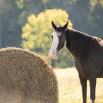 Texas Haynet Round Bale Hay Net - Texas Haynet - Equiluxe Tack