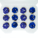 The Posh Pony Galaxy Cupcakes - The Posh Pony - Equiluxe Tack