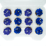 The Posh Pony Galaxy Cupcakes - The Posh Pony - Equiluxe Tack