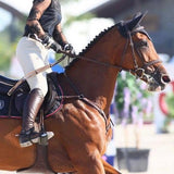 Women's Equestrian Show Shirt Black DAISY Design By Dalia - Equiluxe Tack - Equiluxe Tack