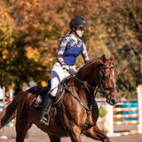 Women's Equestrian Show Shirt Navy Blue DAISY Design By Dalia - Equiluxe Tack - Equiluxe Tack