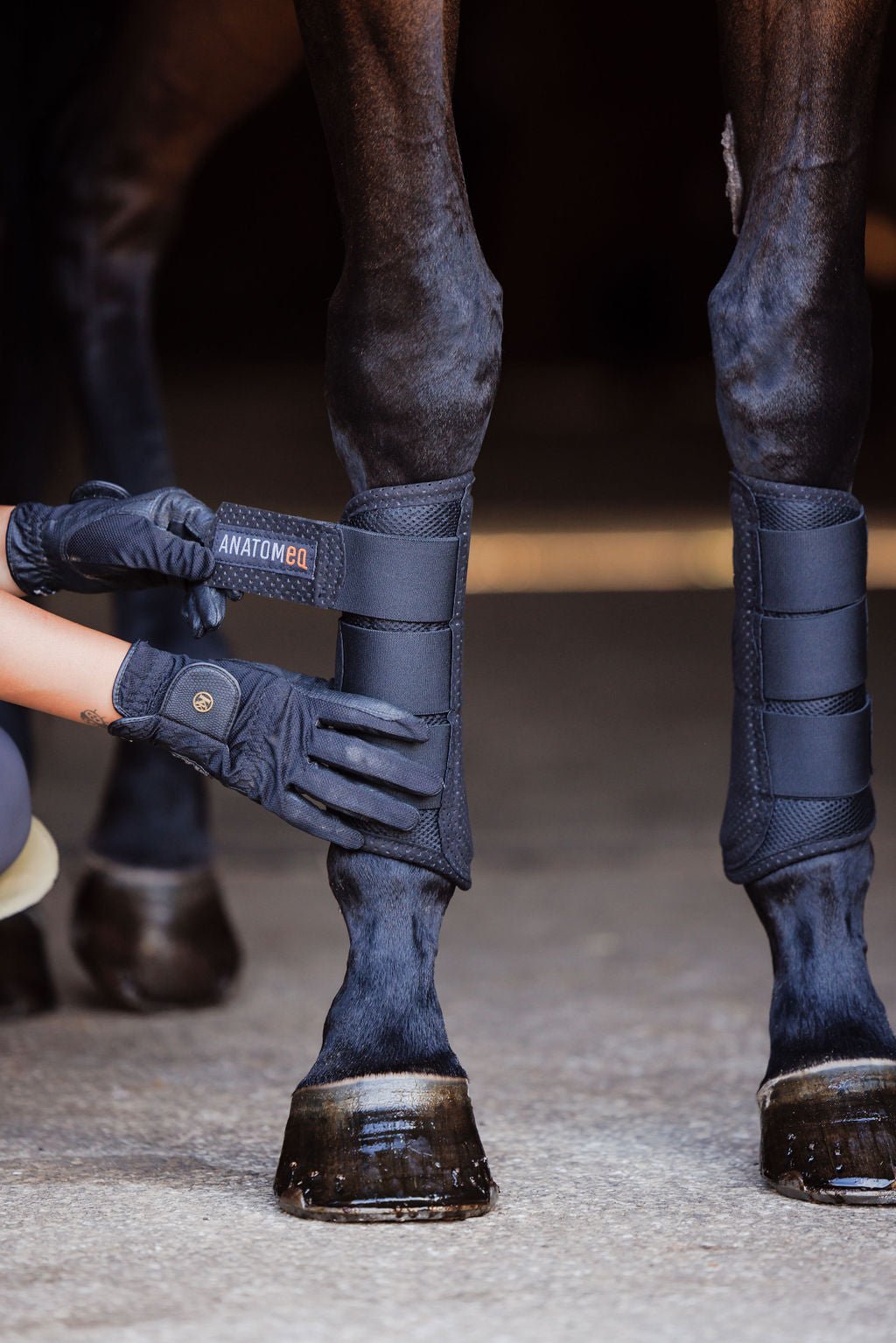 AirGuard Brush Boots - Ultra Air Flow & Comfort - Anatomeq - Equiluxe Tack