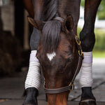 Anatomeq CoolSupport Combi Polos for Sensitive Horses - Anatomeq - Equiluxe Tack