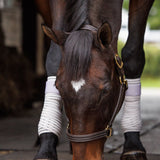 Anatomeq CoolSupport Combi Polos for Sensitive Horses - Anatomeq - Equiluxe Tack