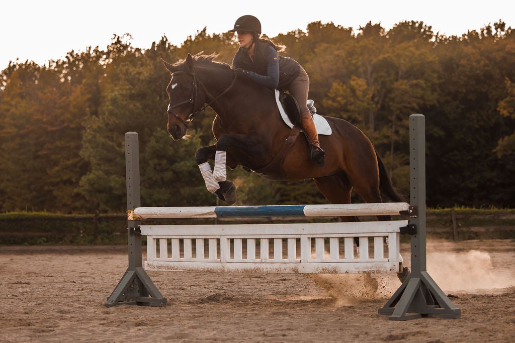 Anatomeq CoolSupport Combi Polos for Sensitive Horses - Anatomeq - Equiluxe Tack