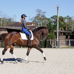 Anatomeq CoolSupport Combi Polos for Sensitive Horses - Anatomeq - Equiluxe Tack