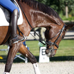 Anatomeq CoolSupport Combi Polos for Sensitive Horses - Anatomeq - Equiluxe Tack