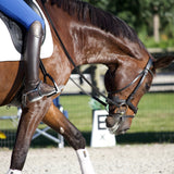 Anatomeq CoolSupport Combi Polos for Sensitive Horses - Anatomeq - Equiluxe Tack