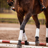 Anatomeq CoolSupport Combi Polos for Sensitive Horses - Anatomeq - Equiluxe Tack