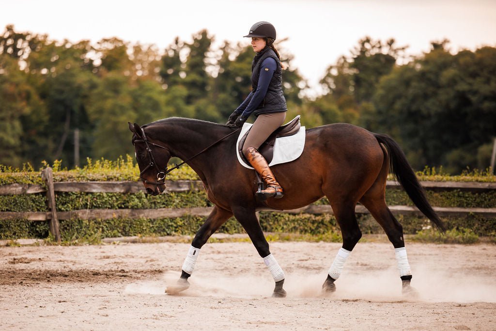 Anatomeq CoolSupport Combi Polos for Sensitive Horses - Anatomeq - Equiluxe Tack
