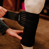 Anatomeq CoolSupport Combi Polos for Sensitive Horses - Anatomeq - Equiluxe Tack