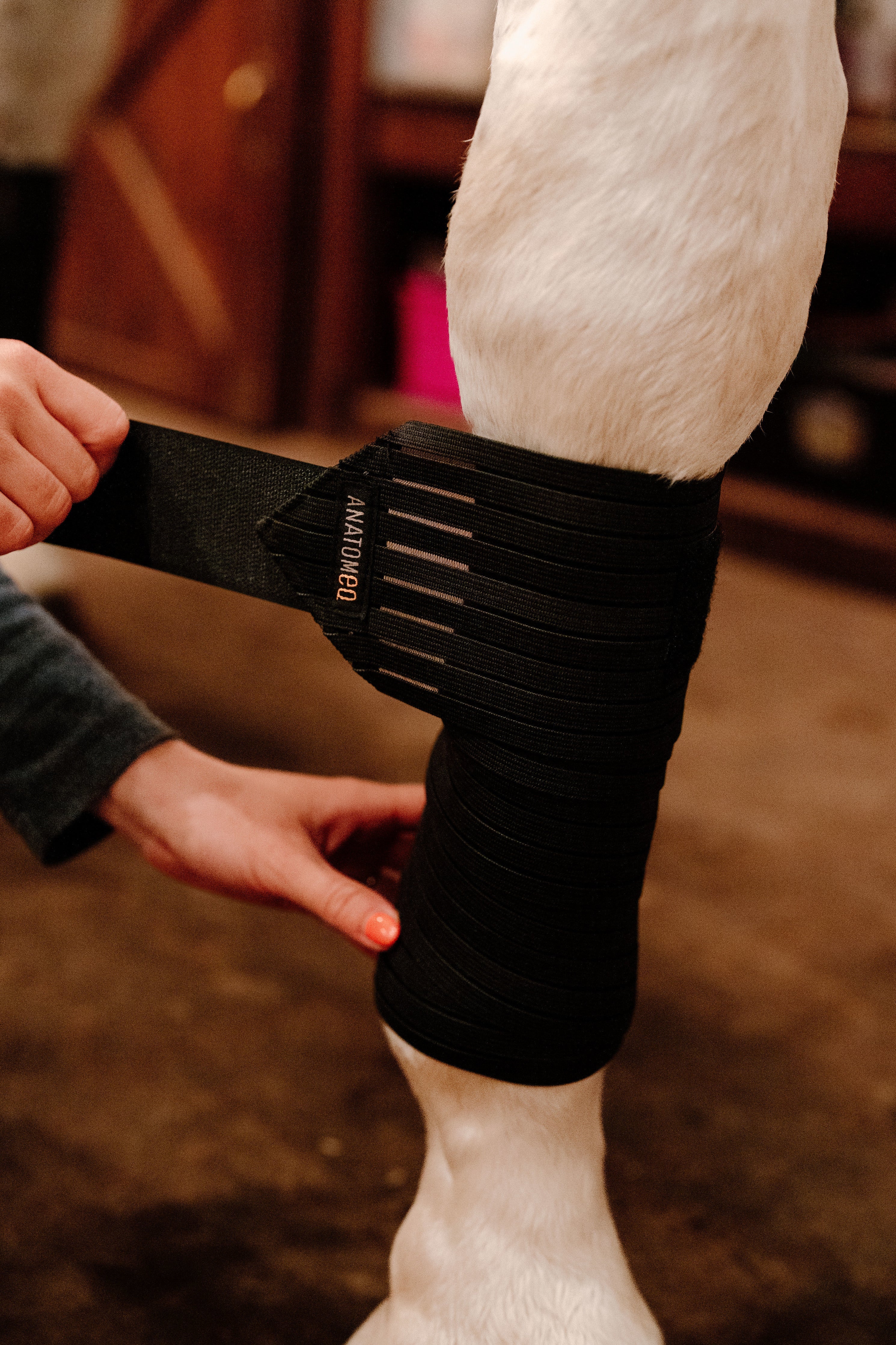 Anatomeq CoolSupport Combi Polos for Sensitive Horses - Anatomeq - Equiluxe Tack