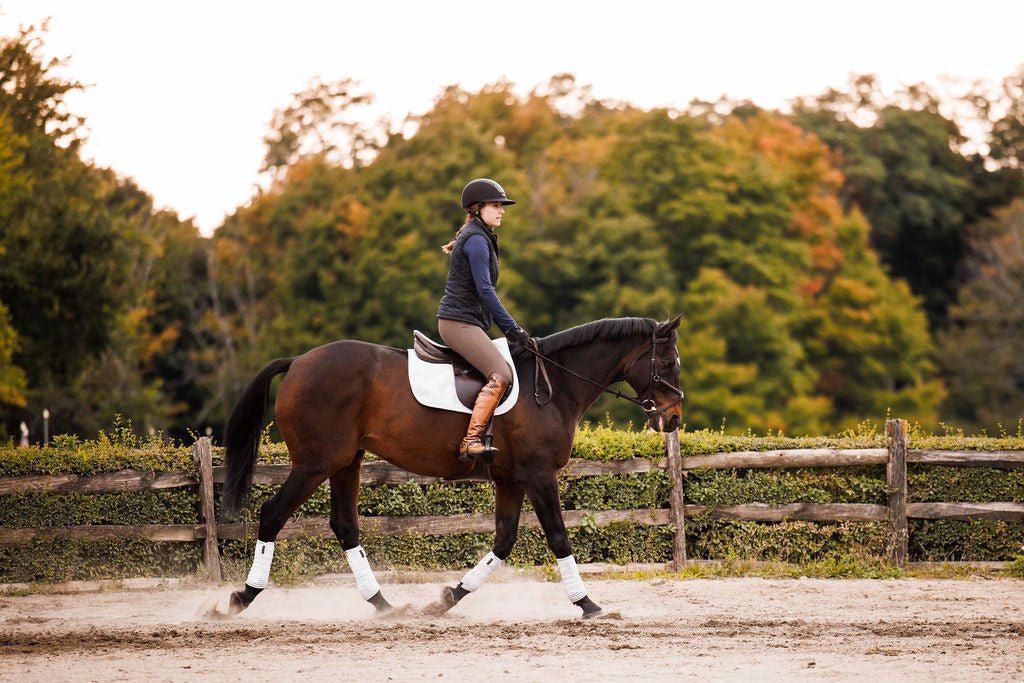 Anatomeq CoolSupport Combi Polos for Sensitive Horses - Anatomeq - Equiluxe Tack