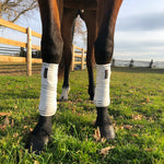 Anatomeq CoolSupport Combi Polos for Sensitive Horses - Anatomeq - Equiluxe Tack