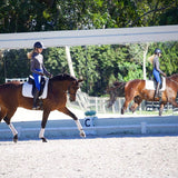 Anatomeq CoolSupport Combi Polos for Sensitive Horses - Anatomeq - Equiluxe Tack