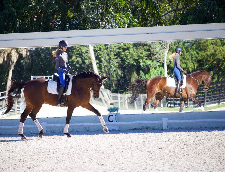 Anatomeq CoolSupport Combi Polos for Sensitive Horses - Anatomeq - Equiluxe Tack