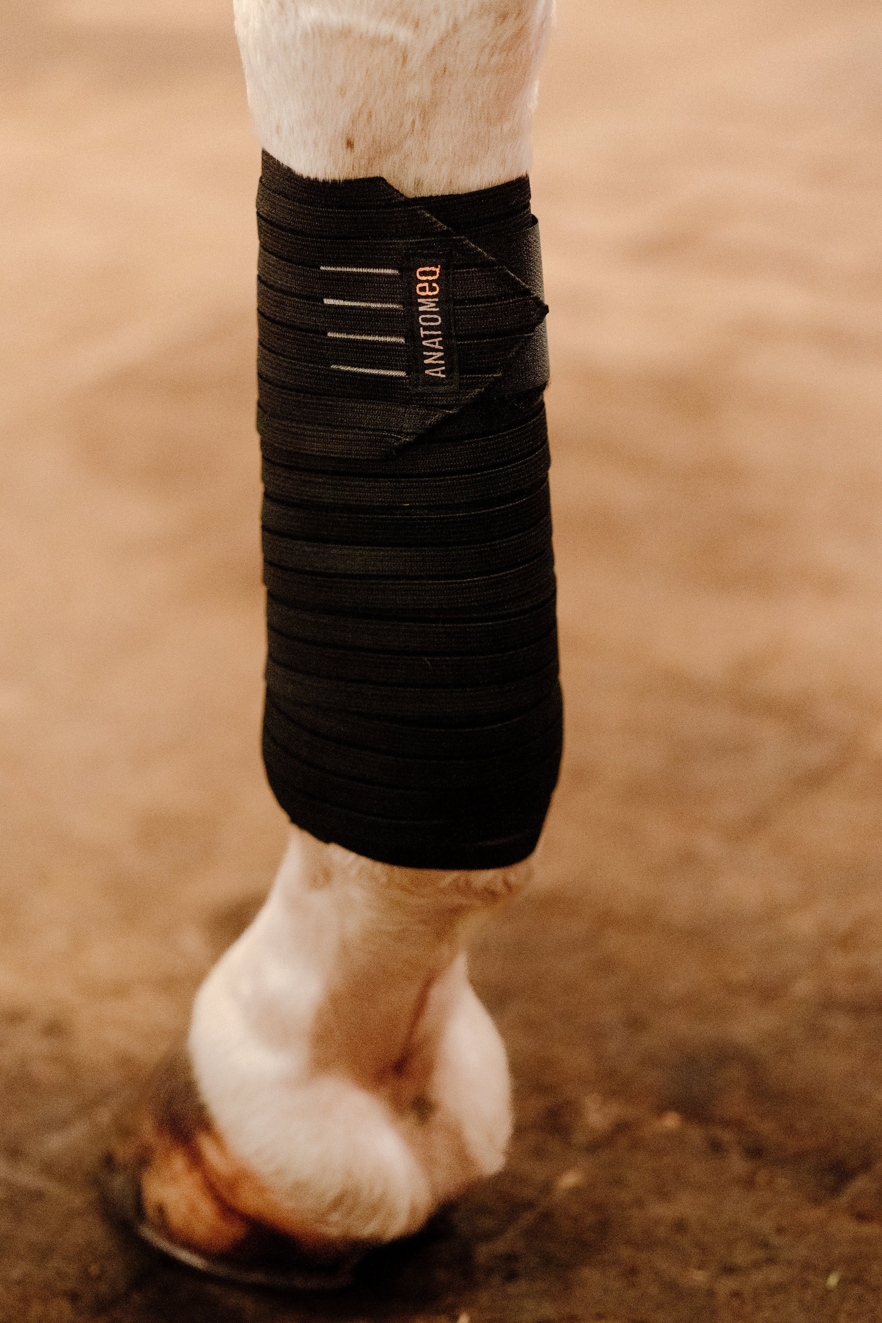 Anatomeq CoolSupport Combi Polos for Sensitive Horses - Anatomeq - Equiluxe Tack
