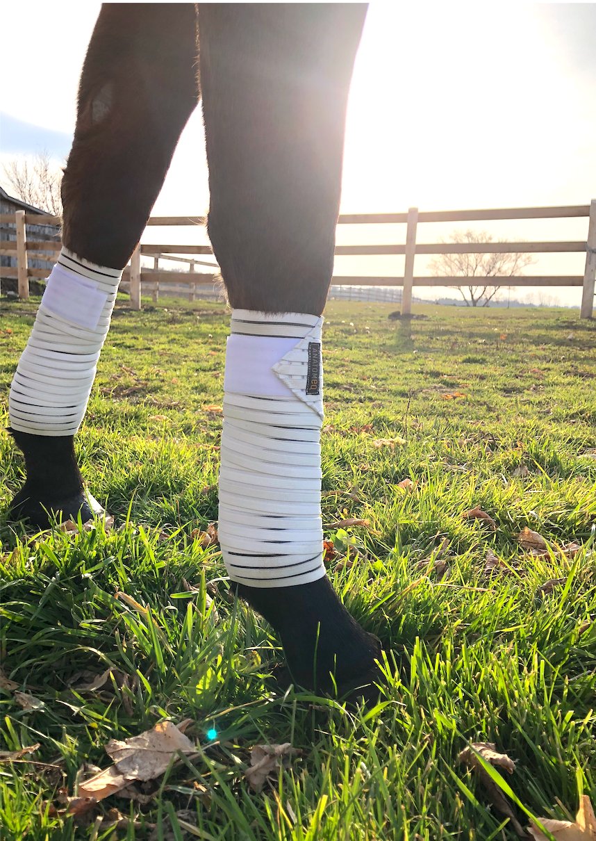 Anatomeq CoolSupport Combi Polos for Sensitive Horses - Anatomeq - Equiluxe Tack
