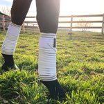 Anatomeq CoolSupport Combi Polos for Sensitive Horses - Anatomeq - Equiluxe Tack