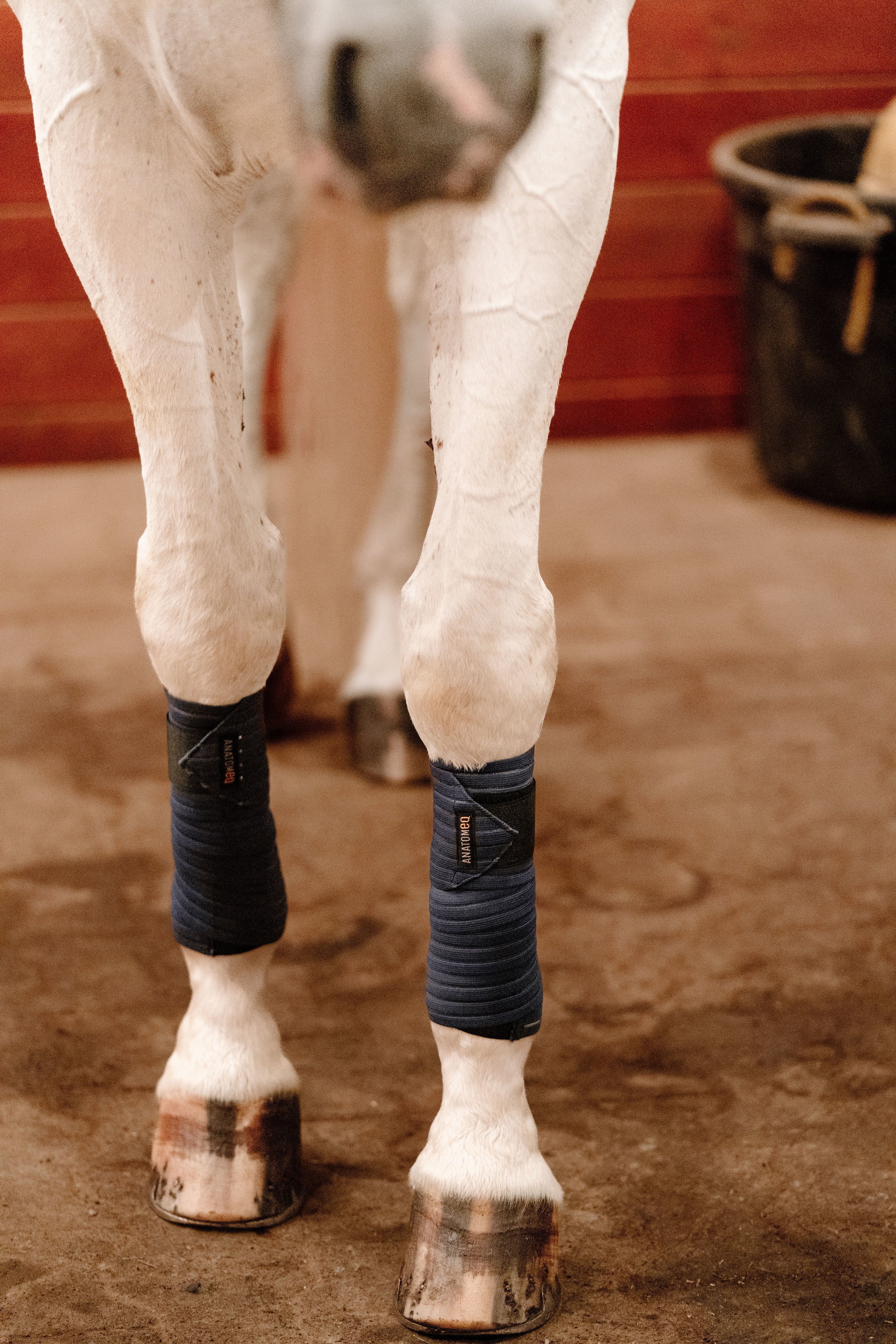 Anatomeq CoolSupport Combi Polos for Sensitive Horses - Anatomeq - Equiluxe Tack