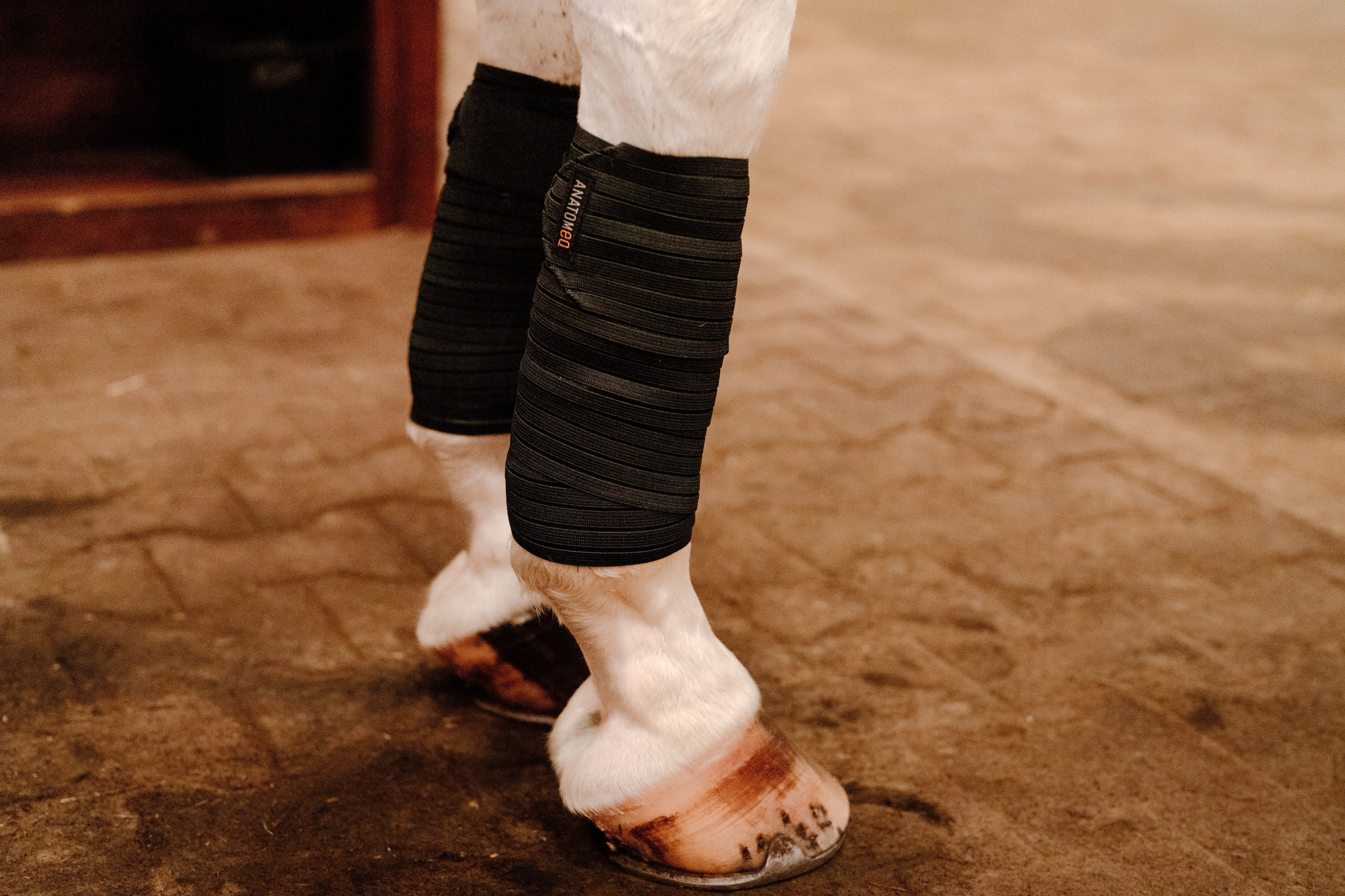 Anatomeq CoolSupport Combi Polos for Sensitive Horses - Anatomeq - Equiluxe Tack