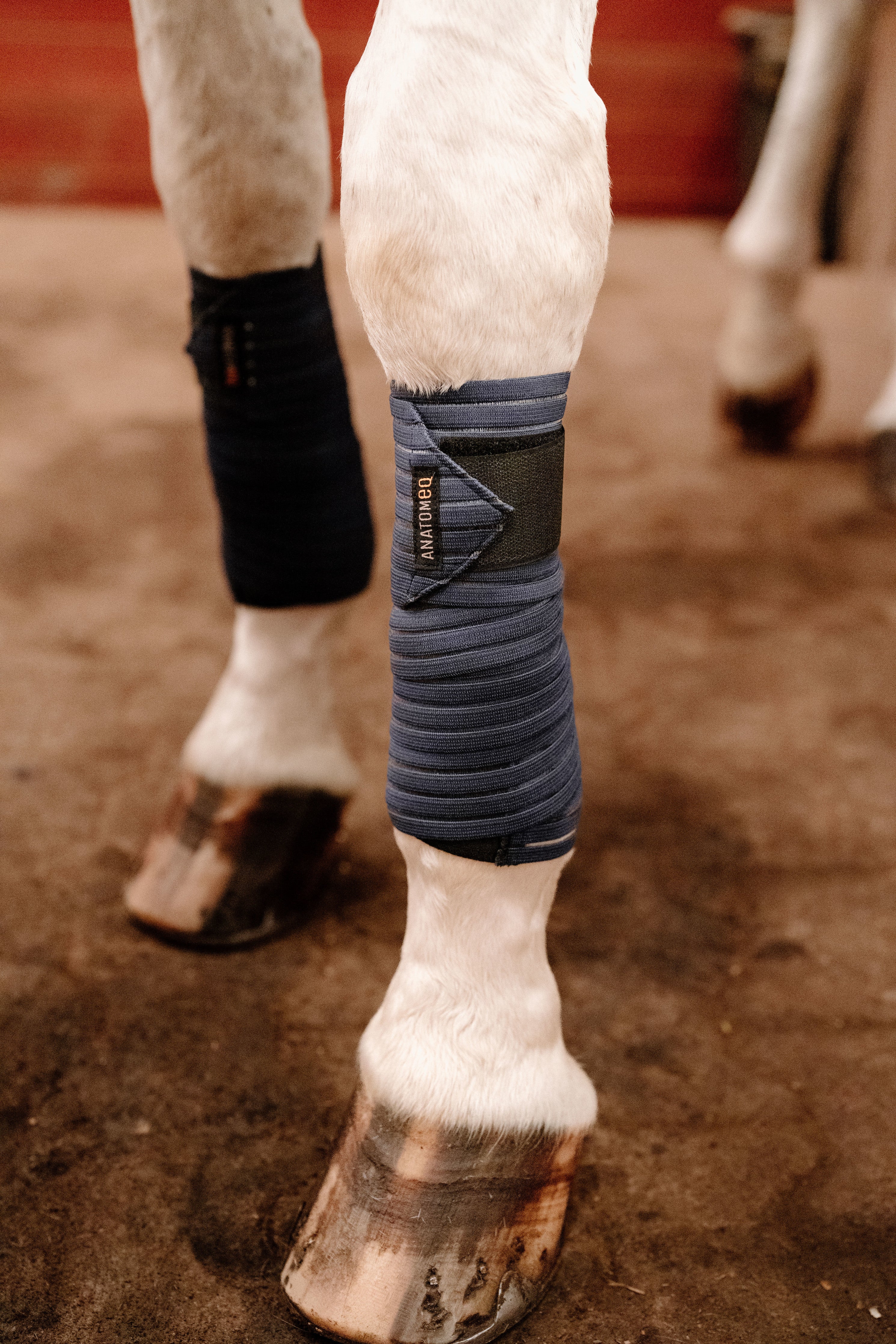 Anatomeq CoolSupport Combi Polos for Sensitive Horses - Anatomeq - Equiluxe Tack