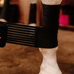 Anatomeq CoolSupport Combi Polos for Sensitive Horses - Anatomeq - Equiluxe Tack