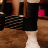 Anatomeq CoolSupport Combi Polos for Sensitive Horses - Anatomeq - Equiluxe Tack