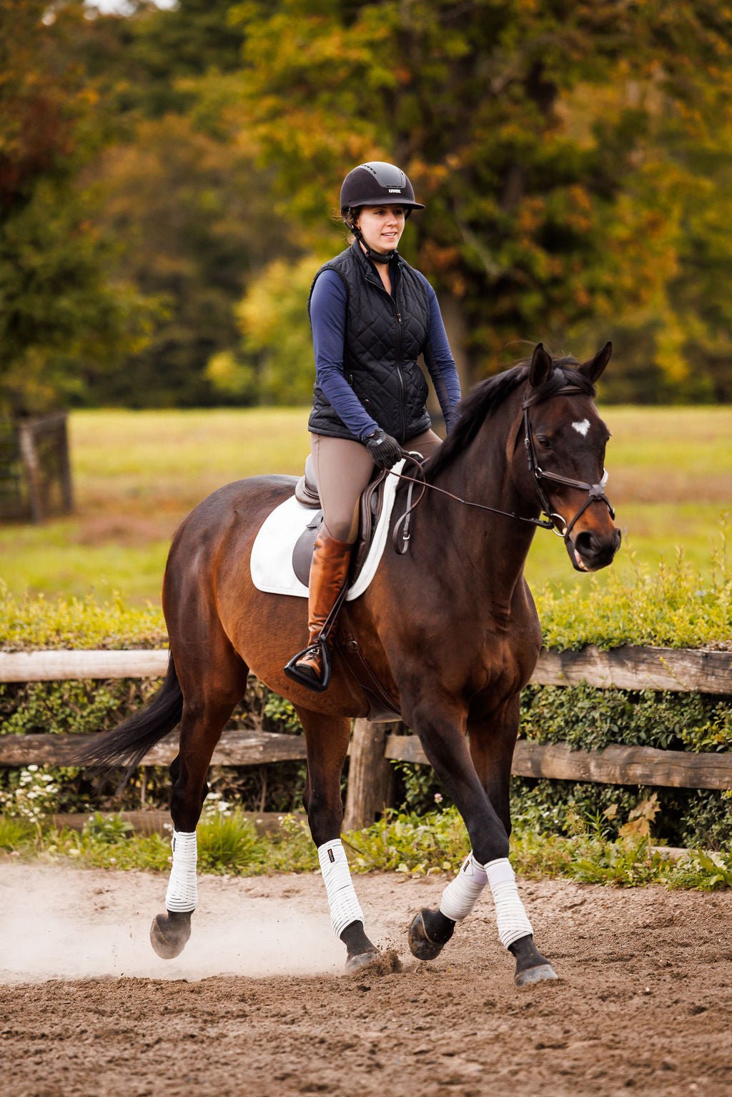 Anatomeq Perfeq Jumper Pad - Ultra Breathable Perforation - Anatomeq - Equiluxe Tack