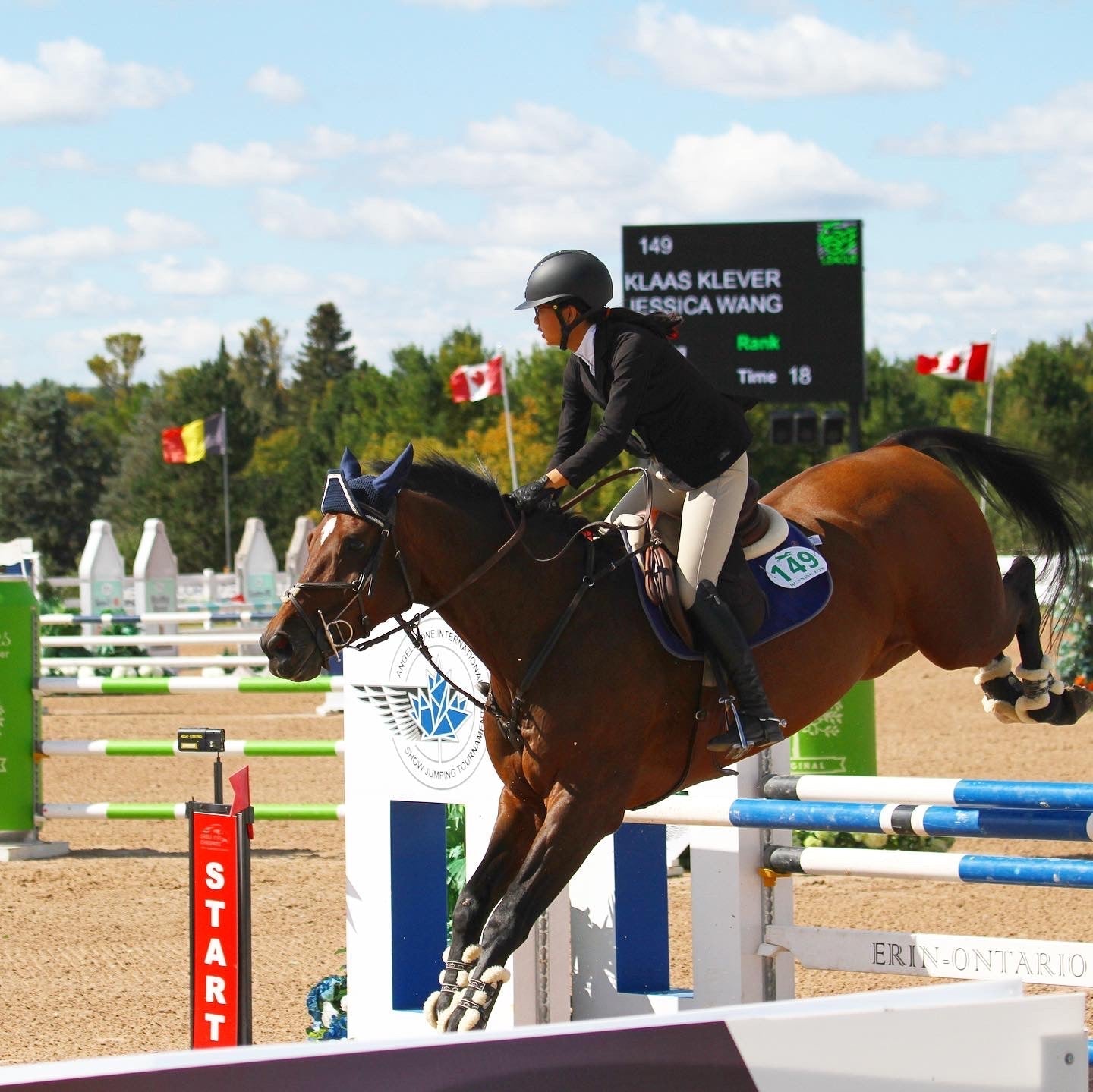 Anatomeq Perfeq Jumper Pad - Ultra Breathable Perforation - Anatomeq - Equiluxe Tack