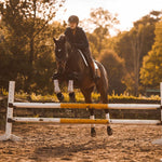 Anatomeq Perfeq Jumper Pad - Ultra Breathable Perforation - Anatomeq - Equiluxe Tack