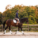 Anatomeq Perfeq Jumper Pad - Ultra Breathable Perforation - Anatomeq - Equiluxe Tack