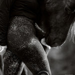 Cavaliere Couture The Grand Prix Riding Tights in Slay Ride (Limited Edition) - Cavaliere Couture - Equiluxe Tack