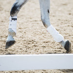 EcoGold Exercise Horse Boots - EcoGold - Equiluxe Tack