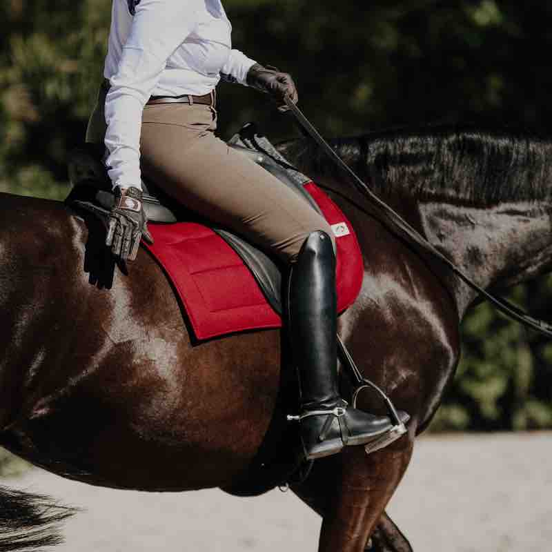 EcoGold Secure Dressage Saddle Pad - EcoGold - Equiluxe Tack