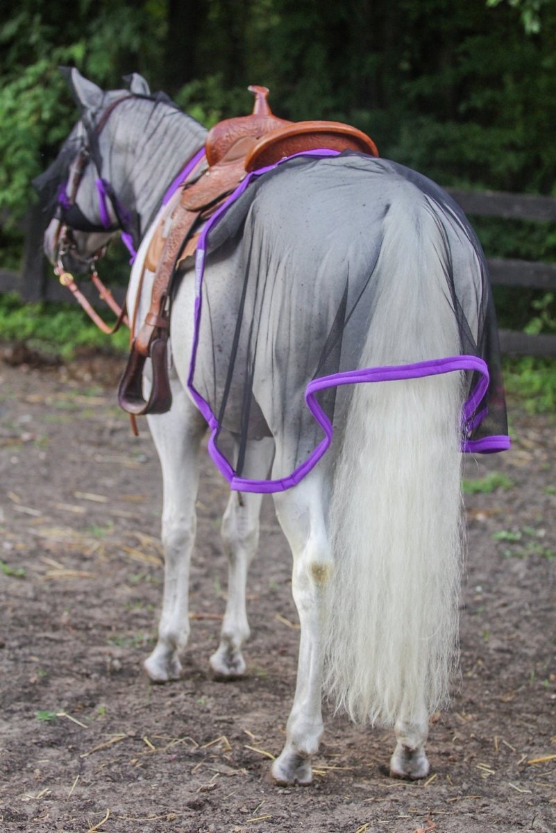 Glute Guard Hindquarters Fly Proctectant Quarter Sheet - Horsehoodies - Equiluxe Tack