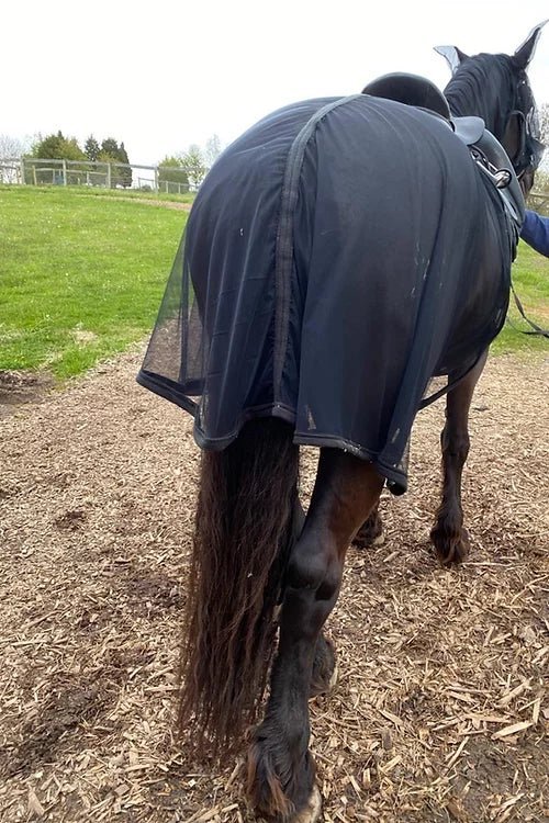 Glute Guard Hindquarters Fly Proctectant Quarter Sheet - Horsehoodies - Equiluxe Tack