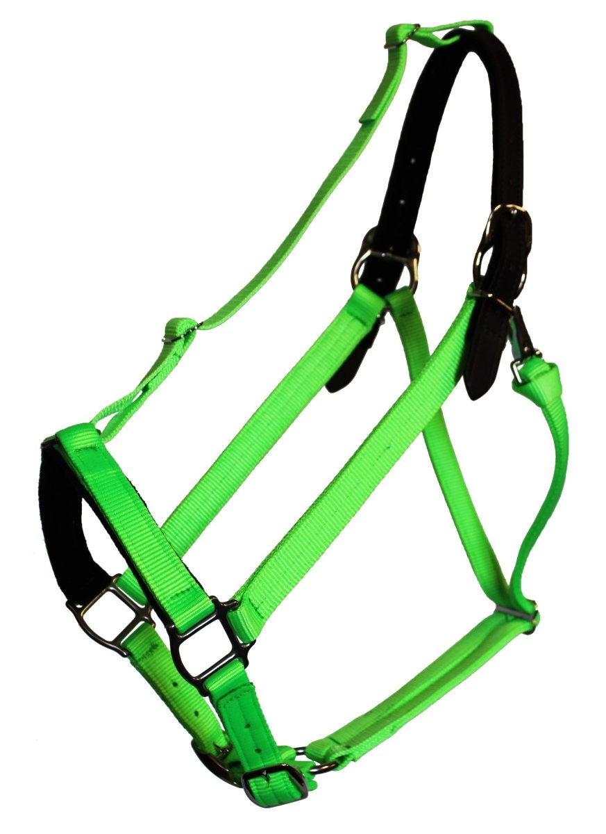 GreenGuard Halter - Premium Breakaway - Equiluxe Tack