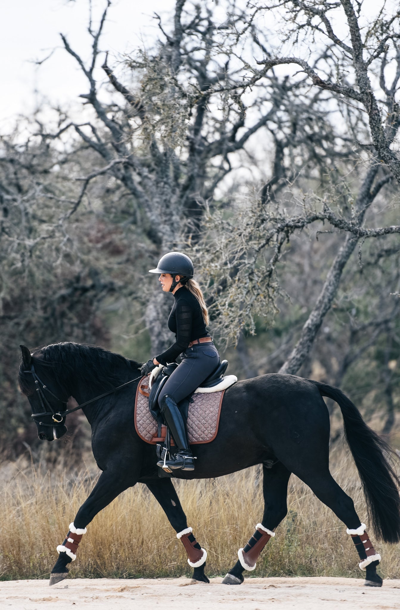 Sixteen Cypress Leatherette Brushing Boots, Hickory - PREORDER - Sixteen Cypress - Equiluxe Tack