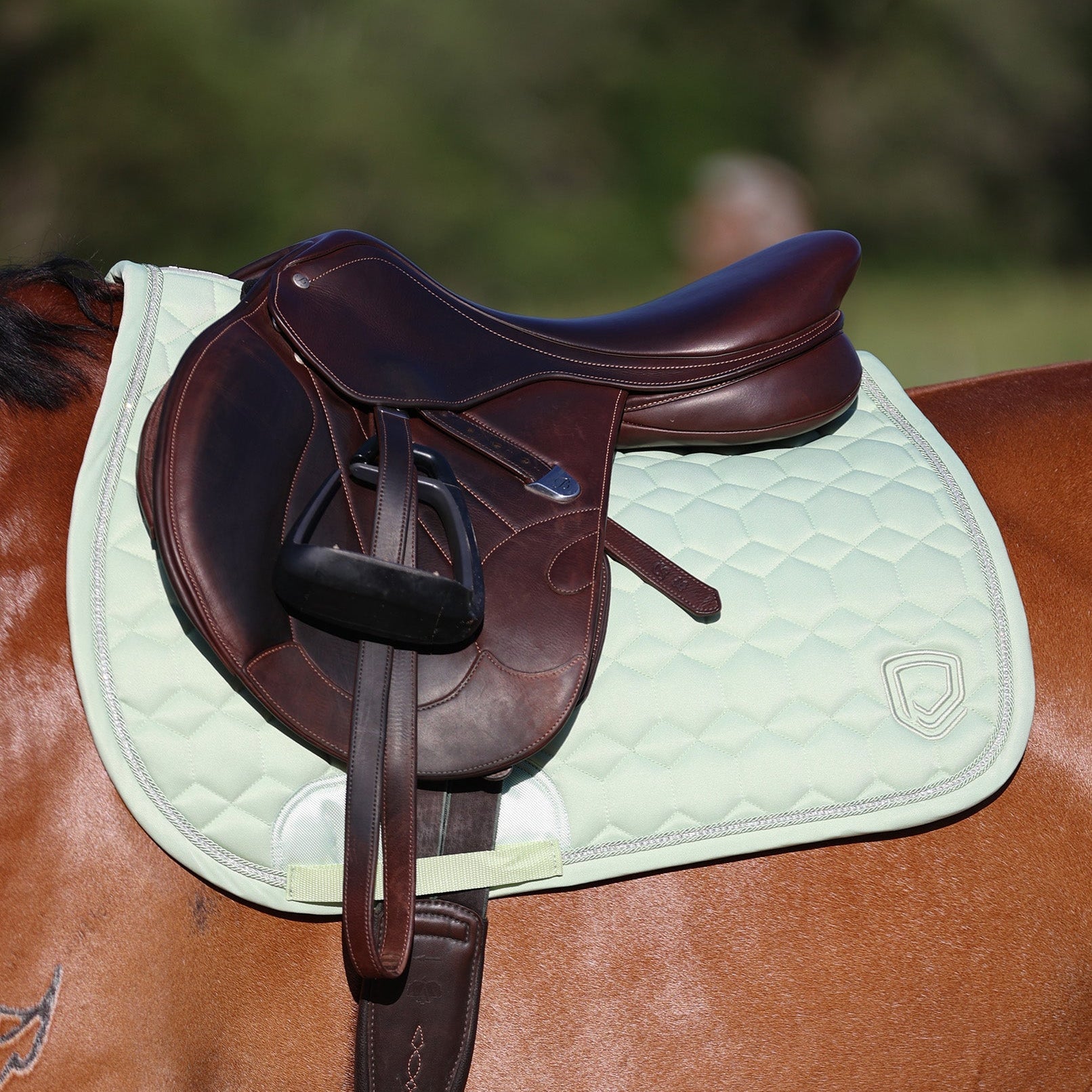 All Purpose Saddle Pads - Equiluxe Tack