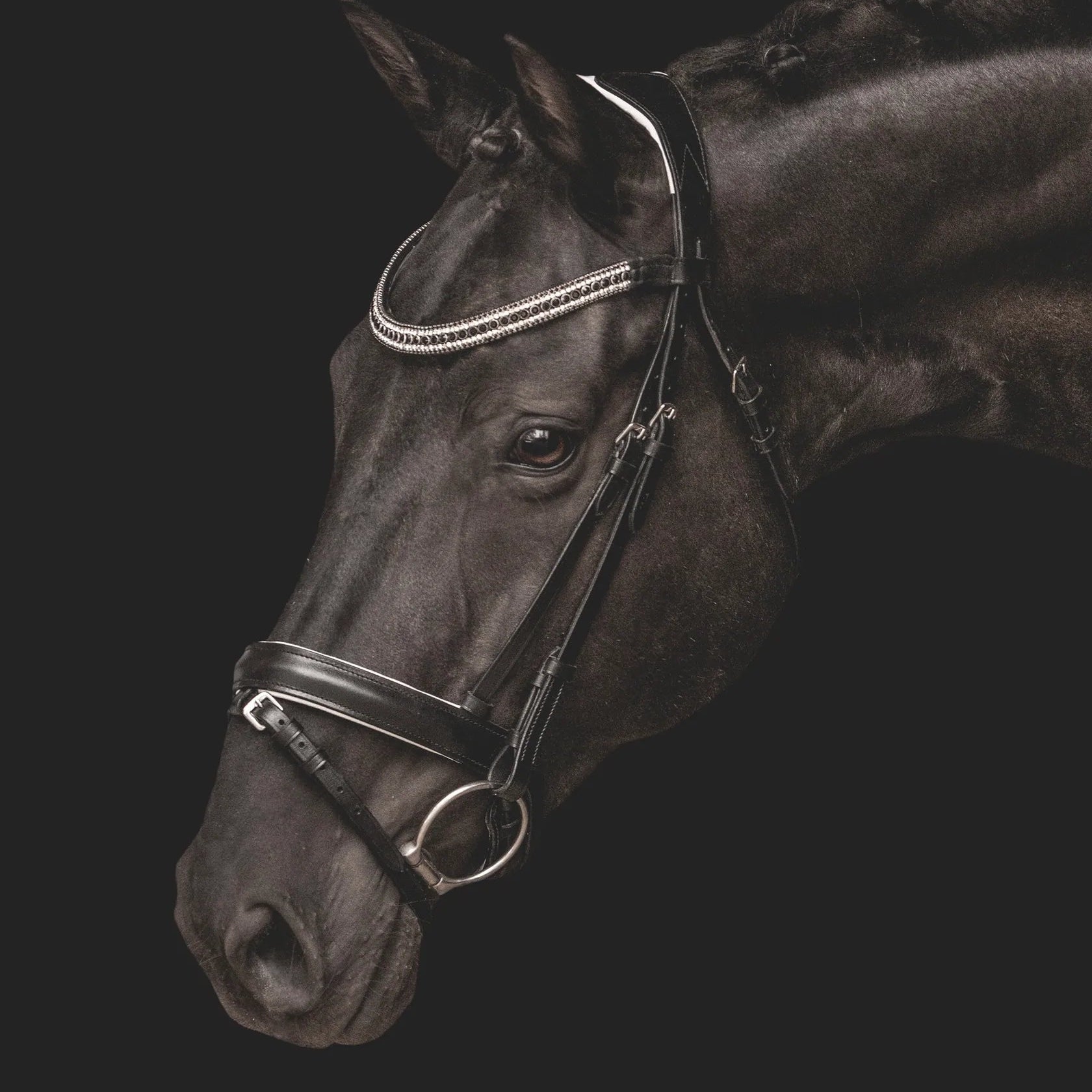 Bridles - Equiluxe Tack