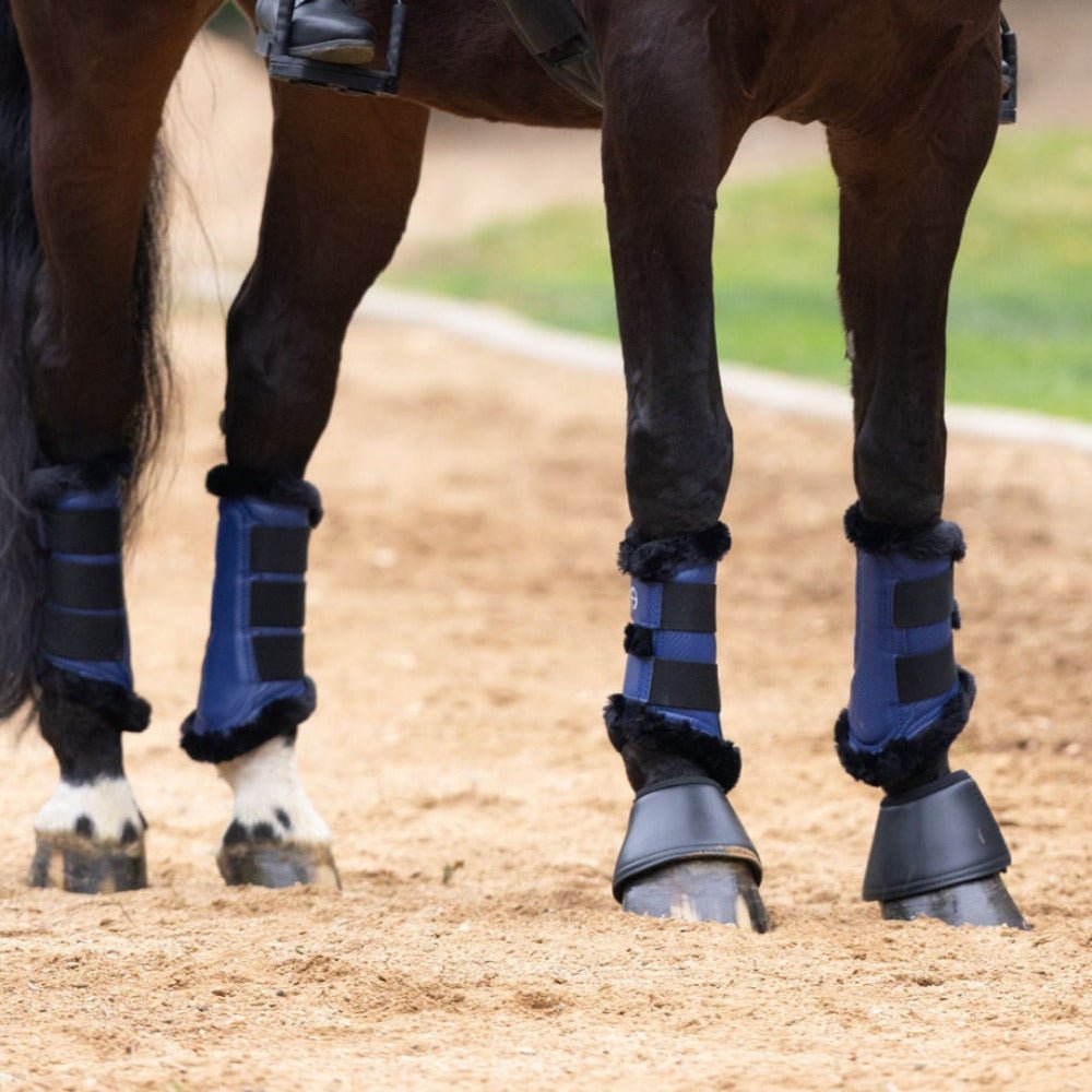 Brushing Boots - Equiluxe Tack