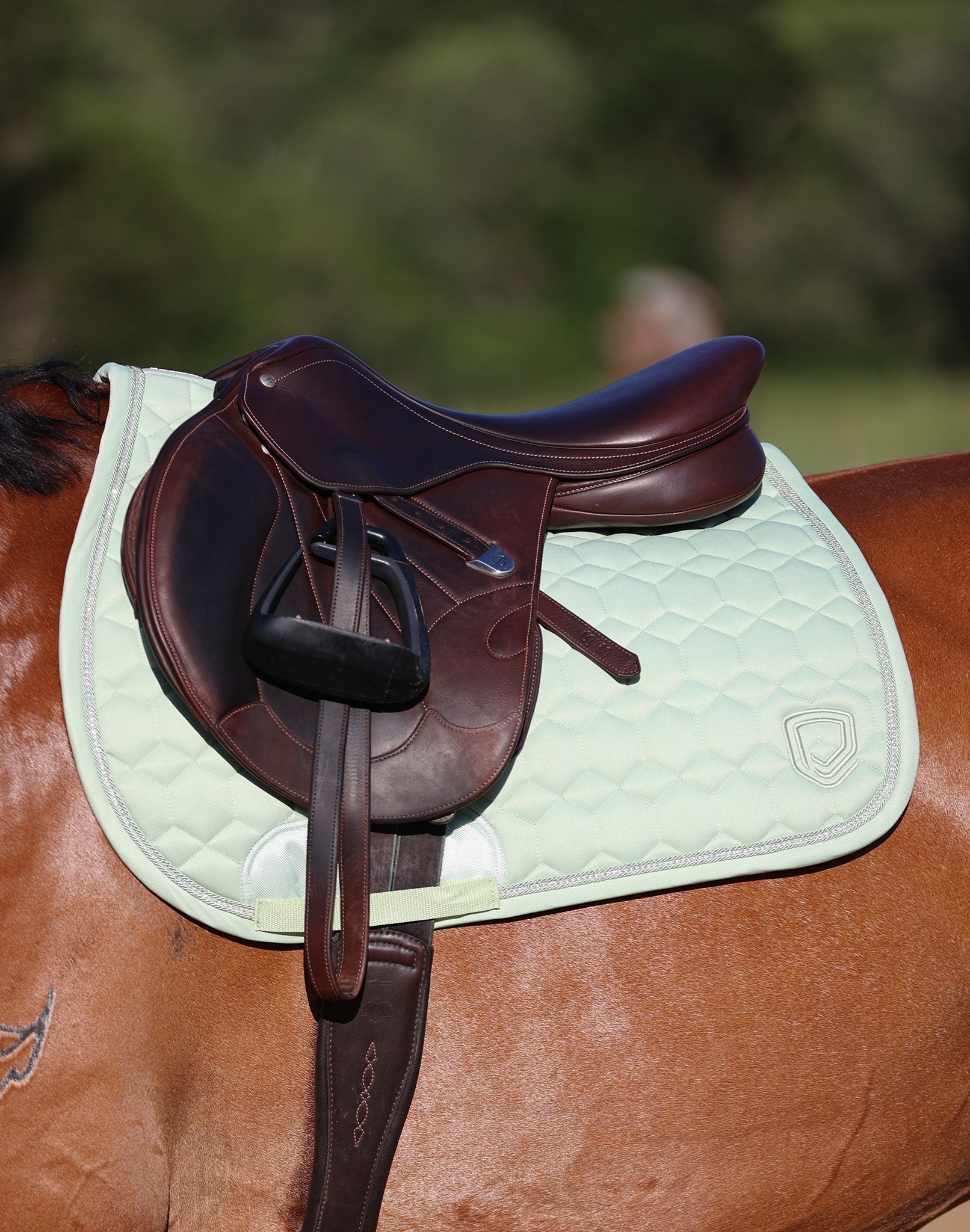 Official Equipad Equestrian™ Online Store | Shop All Products ...