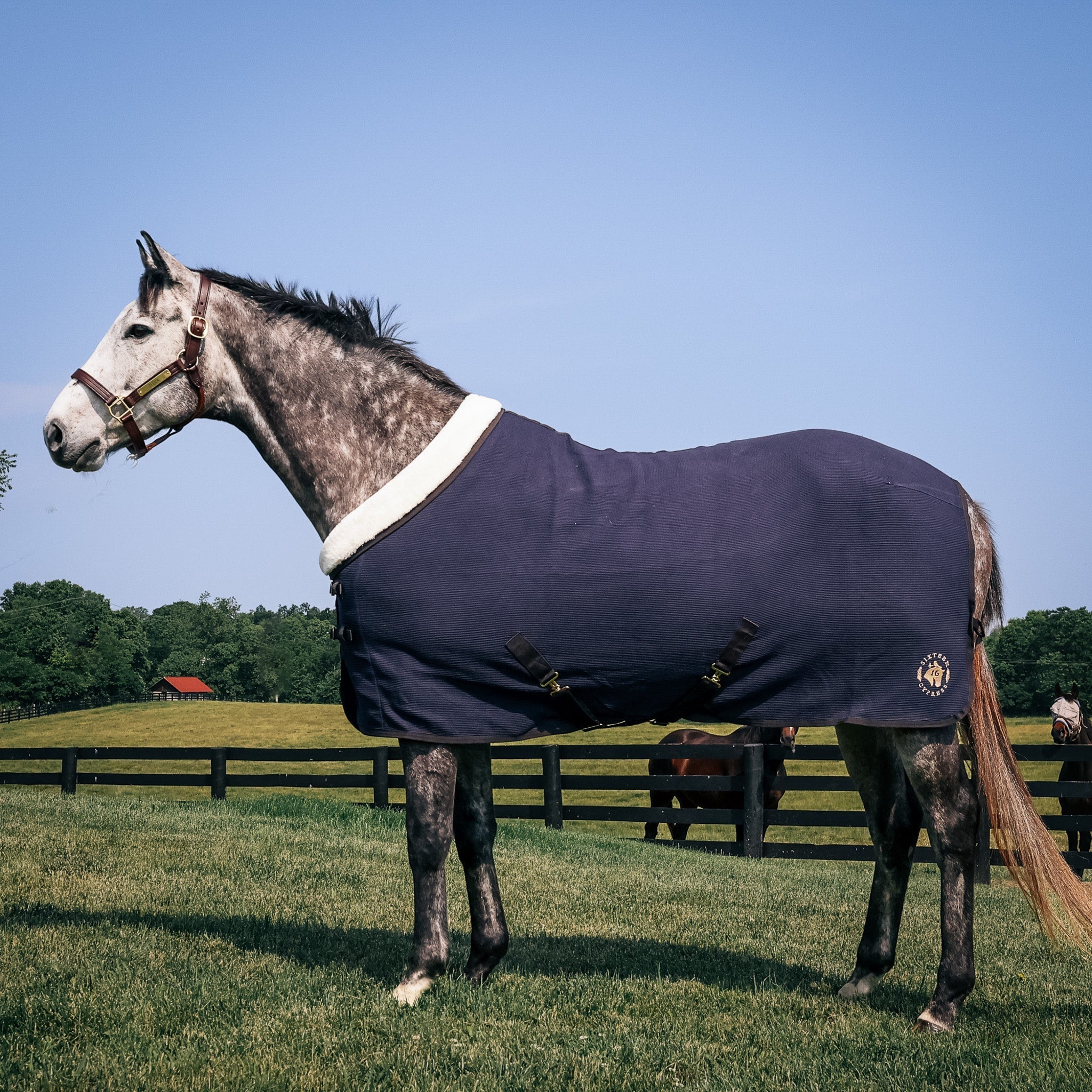 Fleece Coolers - Equiluxe Tack